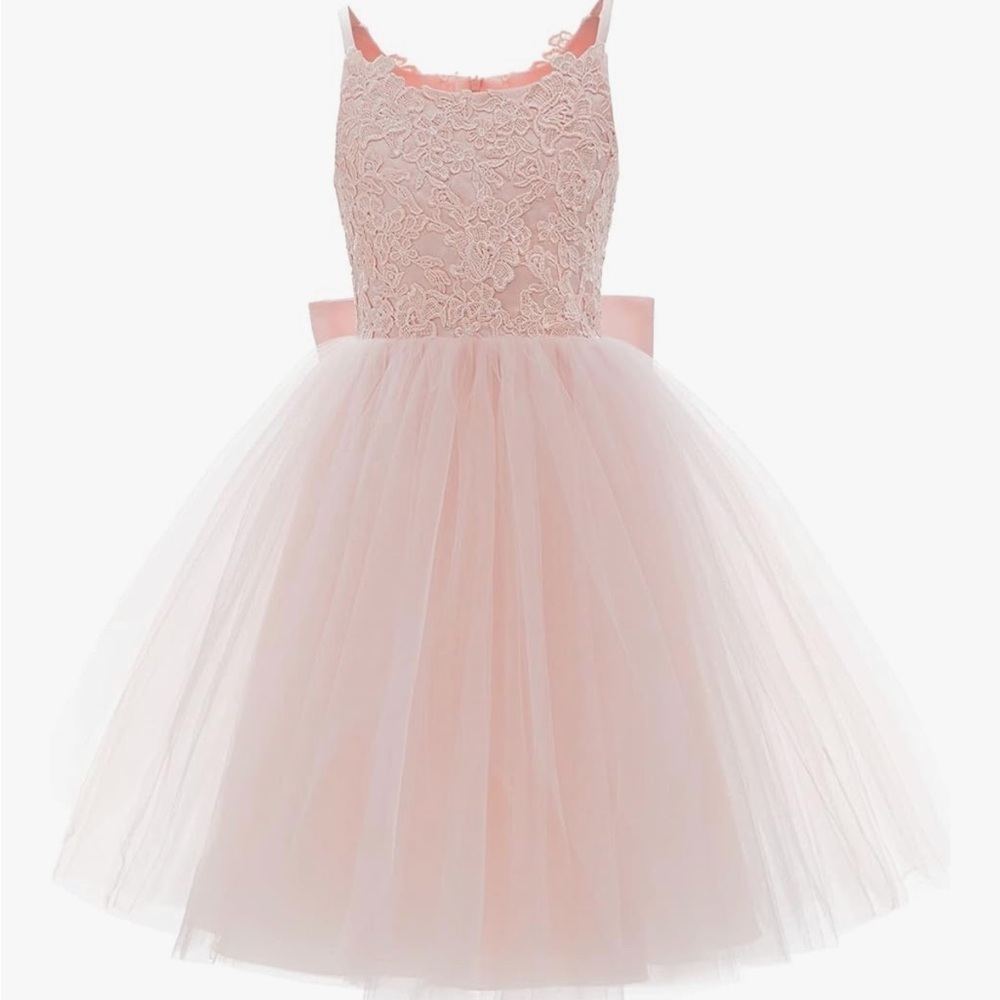 Pink Lace Tulle Flower Girl Dress Size 12 Ball Gown Wedding Party